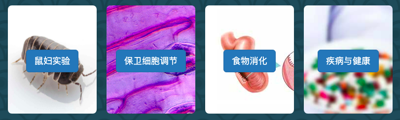 simulation pictures